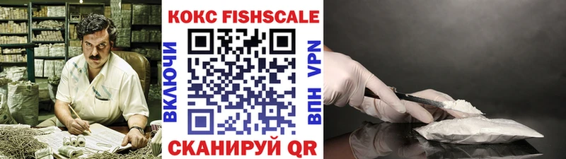 COCAIN Fish Scale  мега маркетплейс  Сельцо 