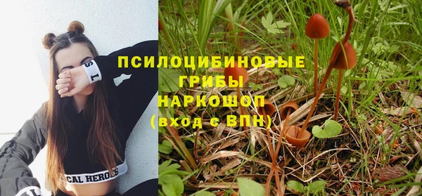 каннабис Арсеньев