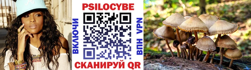 мега ТОР  Сельцо  Псилоцибиновые грибы мицелий 