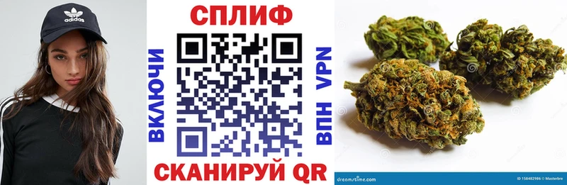 сколько стоит  Сельцо  Каннабис планчик 